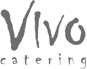 vivo-logo (1)